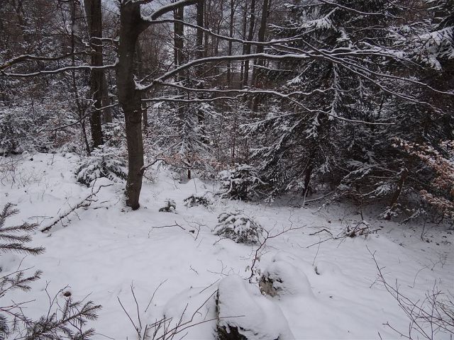 Vinska gora-Ramšakov vrh-Radojč-5.2.2012 - foto