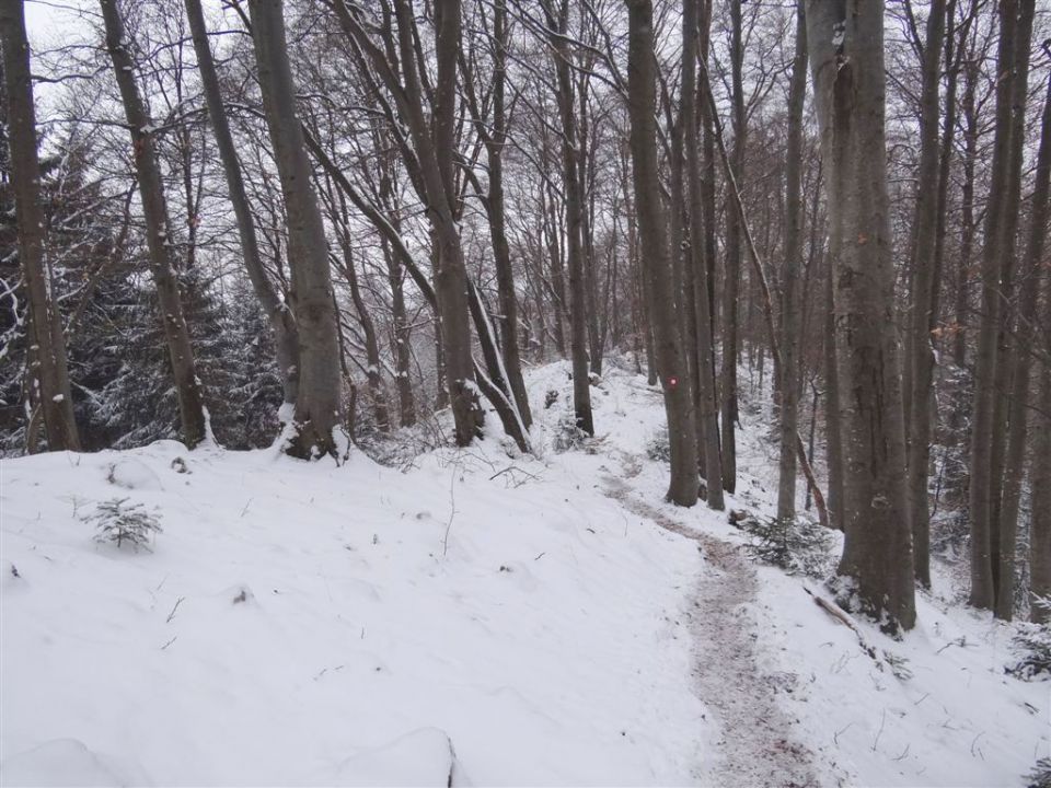 Vinska gora-Ramšakov vrh-Radojč-5.2.2012 - foto povečava