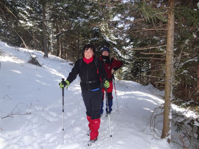 Žekovec-Mozirska koča-Golte-8.2.2012 - foto