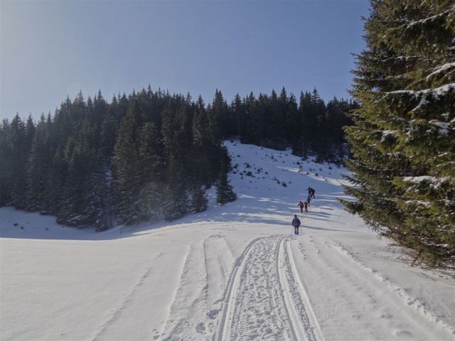 Žekovec-Mozirska koča-Golte-8.2.2012 - foto