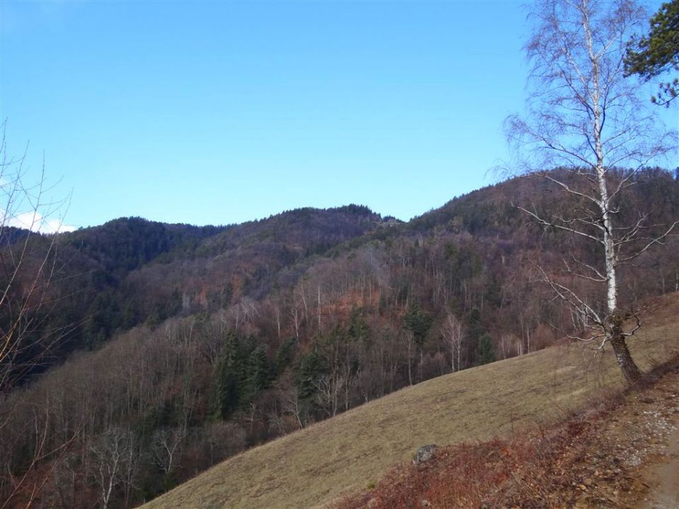 Šoberjev dvor-Žavcarjev vrh-Tojzl-26.2.2012 - foto povečava