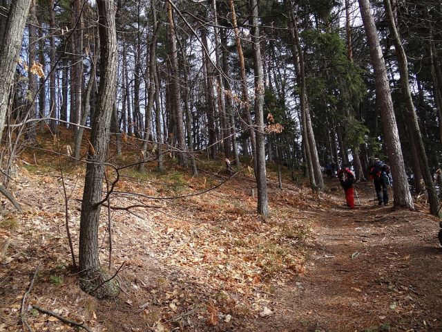 Šoberjev dvor-Žavcarjev vrh-Tojzl-26.2.2012 - foto