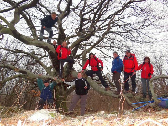 Podgorje-Slavnik in Vremščica-18.3.2012 - foto