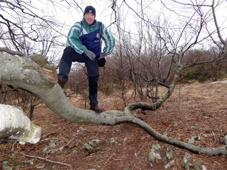 Podgorje-Slavnik in Vremščica-18.3.2012 - foto povečava