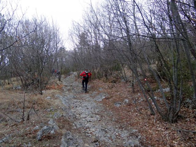 Podgorje-Slavnik in Vremščica-18.3.2012 - foto