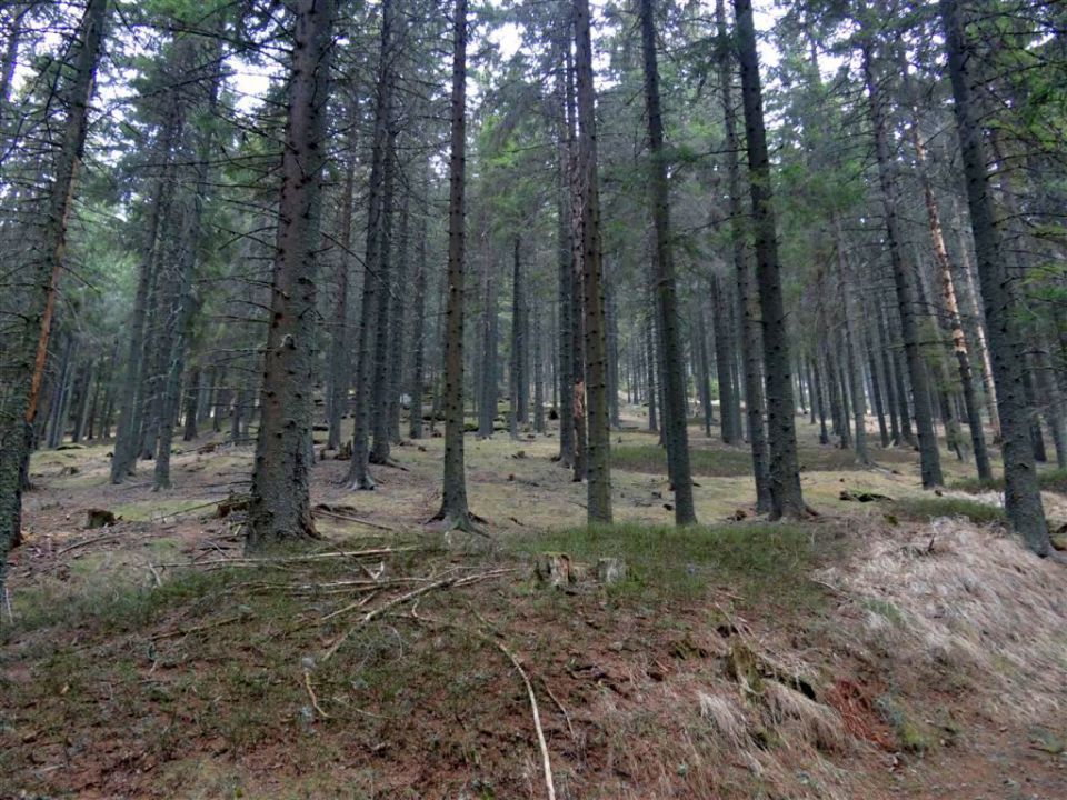 Košenjak in Ivarčko j.-Uršla gora-25.3.2012 - foto povečava