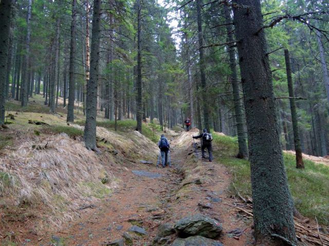 Košenjak in Ivarčko j.-Uršla gora-25.3.2012 - foto