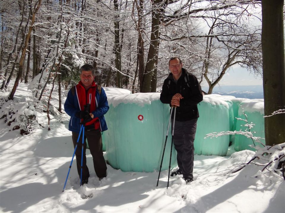 JAGNJENICA-SVIBNO-JATNA-KLADJE-1.4.2012 - foto povečava