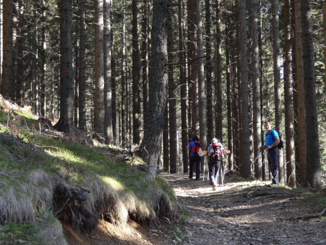 Črnivec-Kašna pl.-Lepenatka-V.Rogatec-29.4.12 - foto