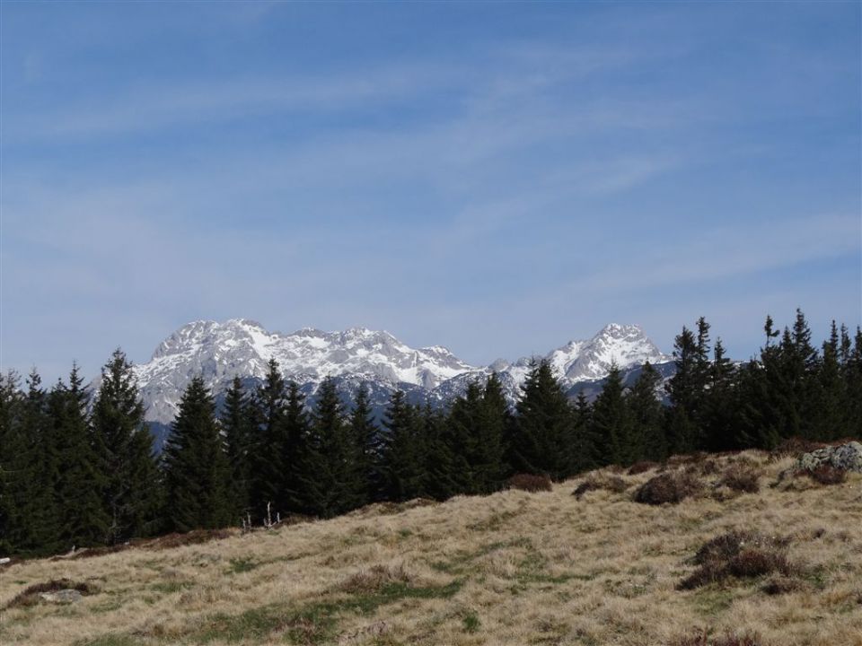 Črnivec-Kašna pl.-Lepenatka-V.Rogatec-29.4.12 - foto povečava