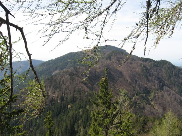 Črnivec-Kašna pl.-Lepenatka-V.Rogatec-29.4.12 - foto