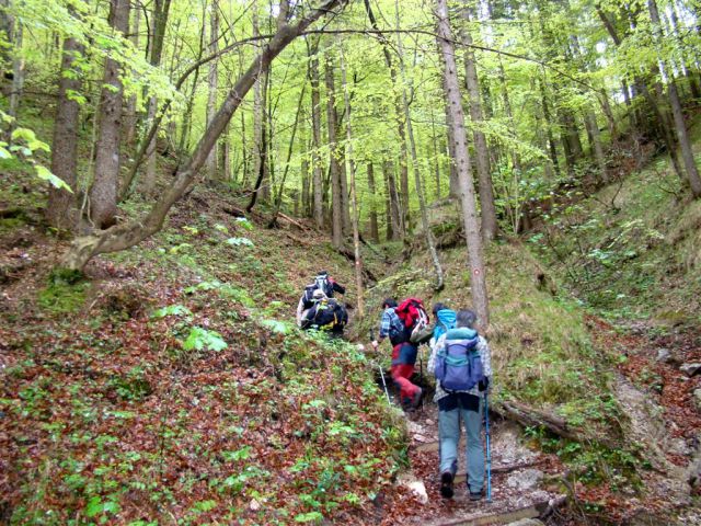 Mače-Dom na Kališču-6.5.2012 - foto