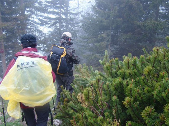 Mače-Dom na Kališču-6.5.2012 - foto