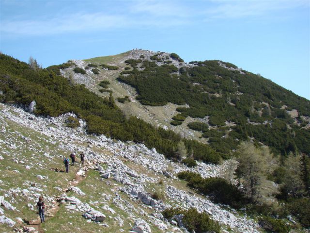 Blejska koča-Debela peč-Lipanski vrh-20.5.12 - foto