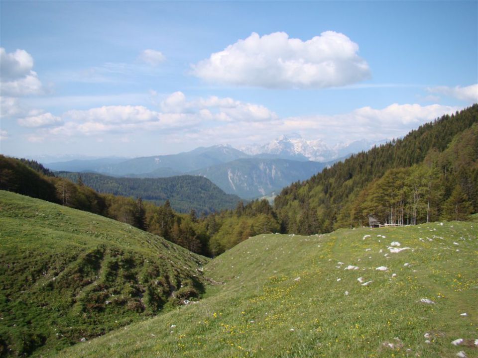 Betel-Struška-Golica-27.5.2012 - foto povečava