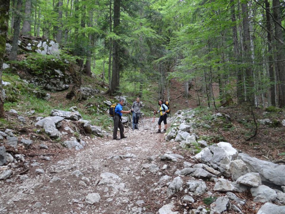 Pl.Blato-M.Tičarica-Trigl.jezera-25.6.2012 - foto povečava