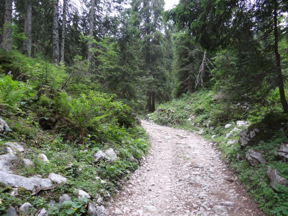 Pl.Blato-M.Tičarica-Trigl.jezera-25.6.2012 - foto povečava