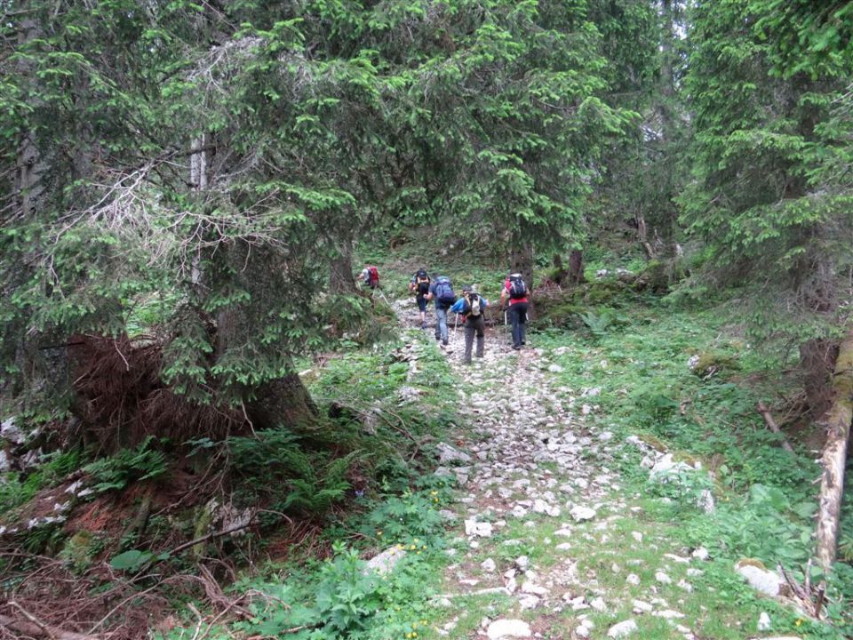 Pl.Blato-M.Tičarica-Trigl.jezera-25.6.2012 - foto povečava