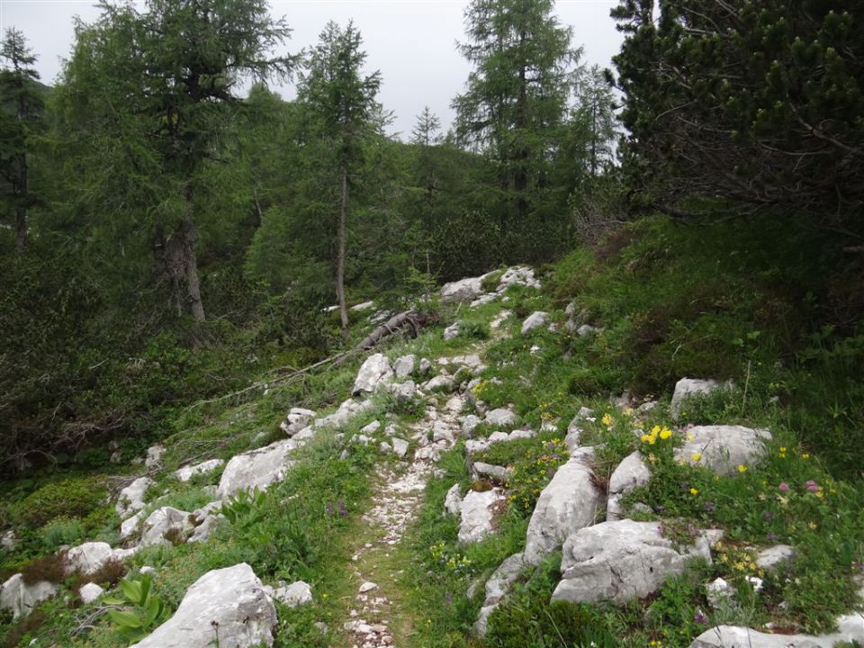 Pl.Blato-M.Tičarica-Trigl.jezera-25.6.2012 - foto povečava