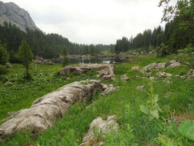 Pl.Blato-M.Tičarica-Trigl.jezera-25.6.2012 - foto