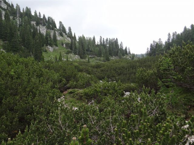 Pl.Blato-M.Tičarica-Trigl.jezera-25.6.2012 - foto