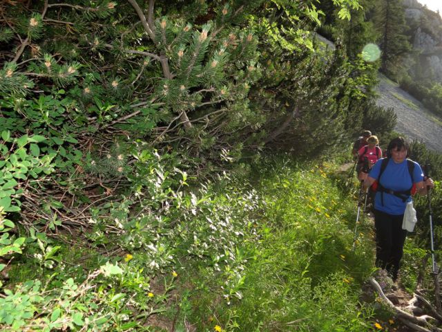 Ljubelj-Belščica-celovška k.-Stol-1.7.2012 - foto