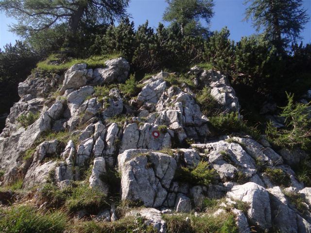 Krnica-Lipnica-Špik-Kač.greben-12.8.2012 - foto