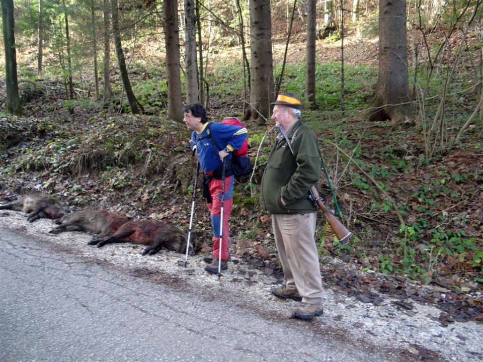 Braslovče-Dobrovlje-Čreta-Žovnek-25.11.12 - foto povečava