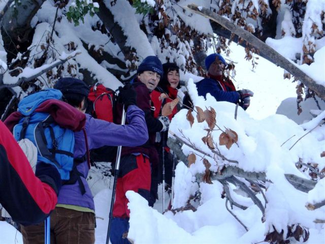 Hrastnik-Gore-Kopitnik-Rimske toplice-9.12.12 - foto