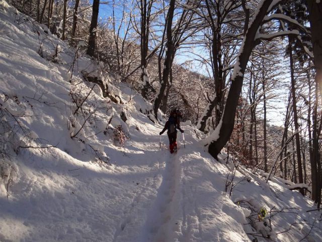 Hrastnik-Gore-Kopitnik-Rimske toplice-9.12.12 - foto