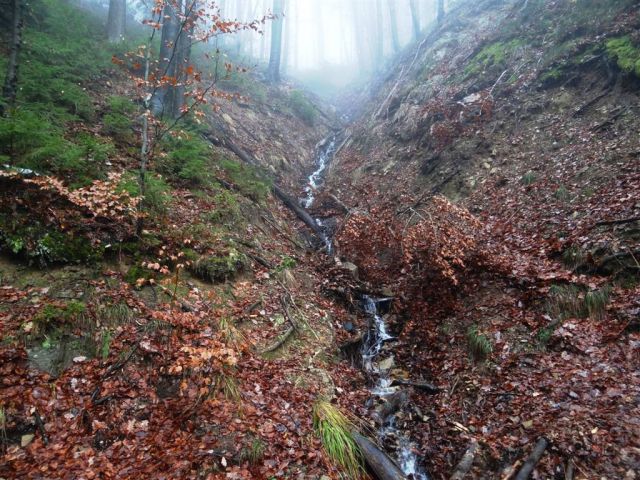 Laško-Malič-Šmohor-(Brili)-16.12.2012 - foto