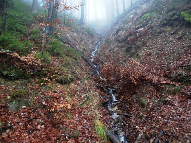 Laško-Malič-Šmohor-(Brili)-16.12.2012 - foto