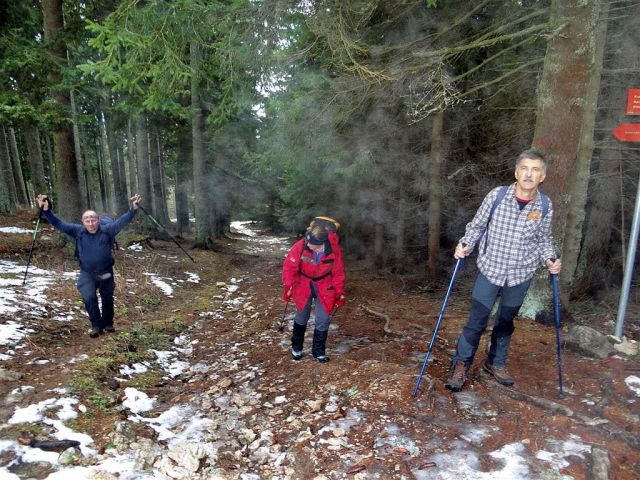 Naravske ledine-Uršlja gora-Križan-26.12.2012 - foto