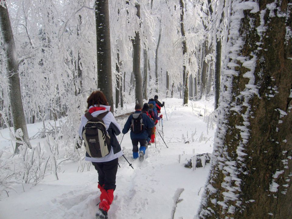 Poljčane-Boč-Dolga Gora-26.1.2013 - foto povečava