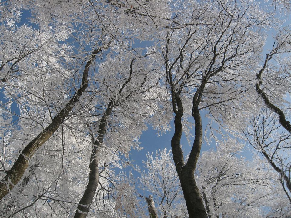 Poljčane-Boč-Dolga Gora-26.1.2013 - foto povečava