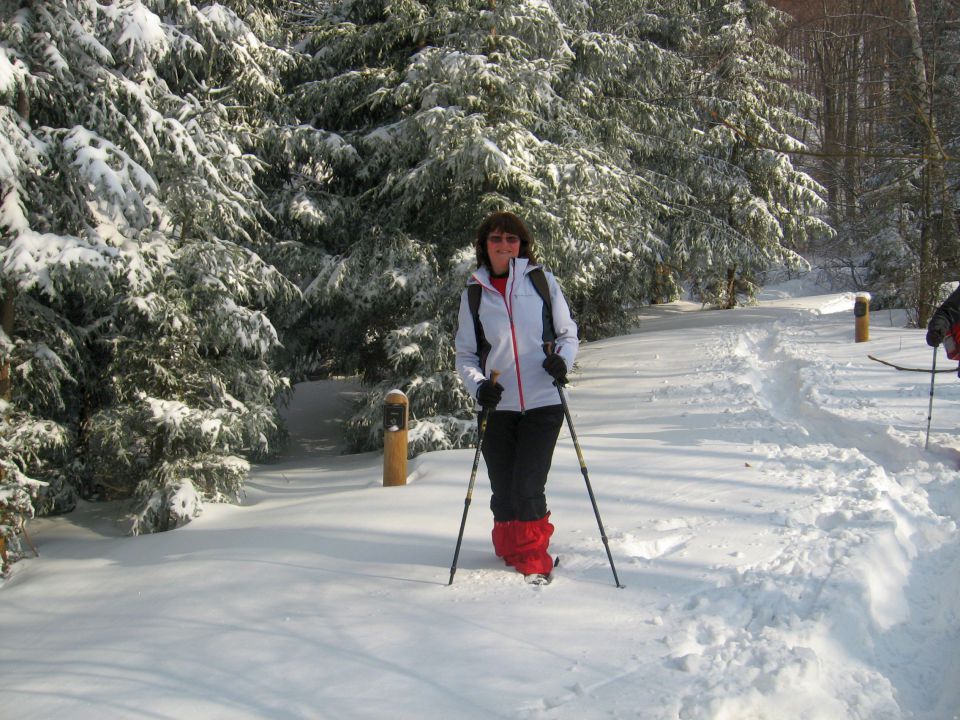 Poljčane-Boč-Dolga Gora-26.1.2013 - foto povečava