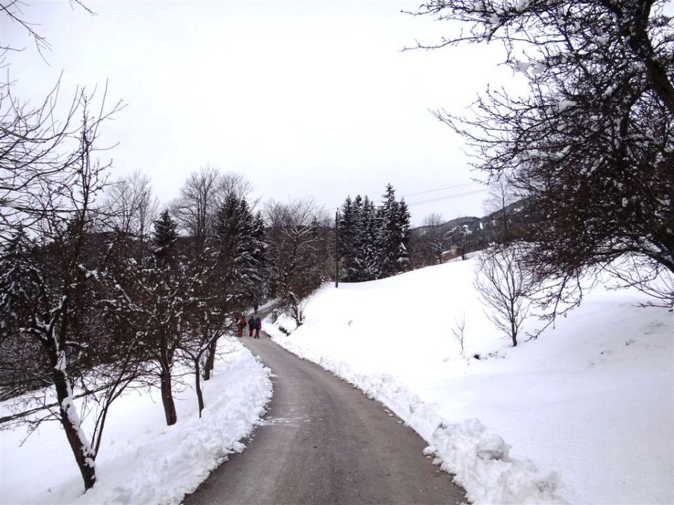 Žekovec-Mozirska koča-Golte-8.2.2013 - foto povečava