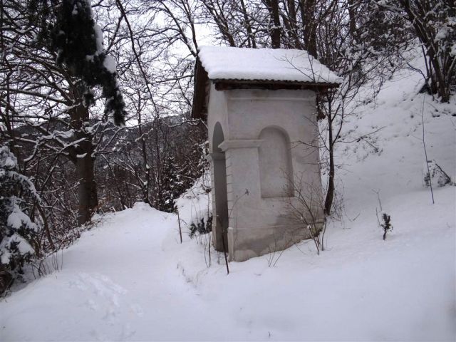 Žekovec-Mozirska koča-Golte-8.2.2013 - foto