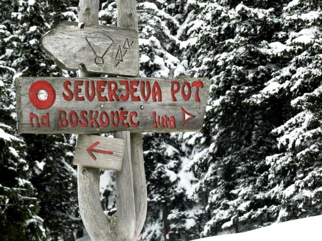 Žekovec-Mozirska koča-Golte-8.2.2013 - foto