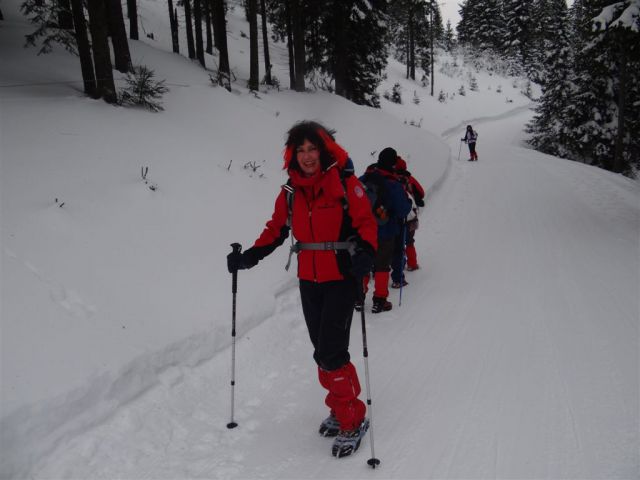 Žekovec-Mozirska koča-Golte-8.2.2013 - foto