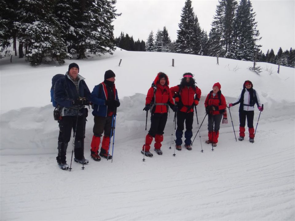 Žekovec-Mozirska koča-Golte-8.2.2013 - foto povečava