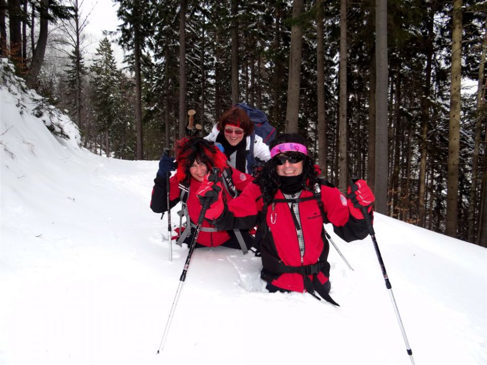 Žekovec-Mozirska koča-Golte-8.2.2013 - foto povečava