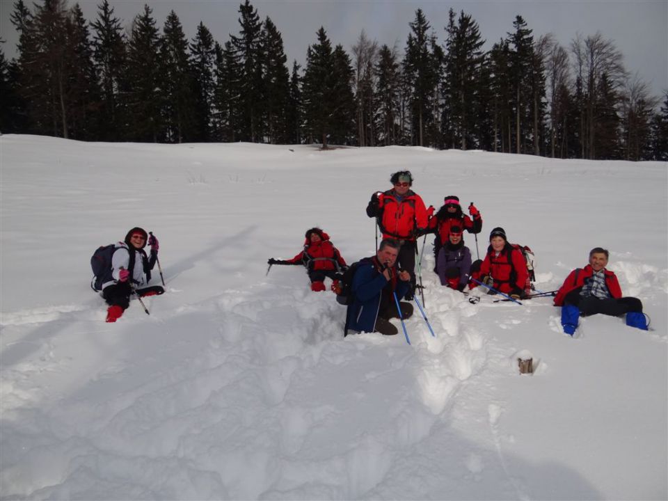 Žekovec-Mozirska koča-Golte-8.2.2013 - foto povečava