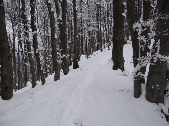 Blagovica-Špilk-Trojane-17.2.2013 - foto