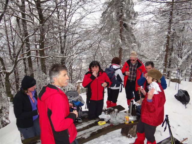 Blagovica-Špilk-Trojane-17.2.2013 - foto