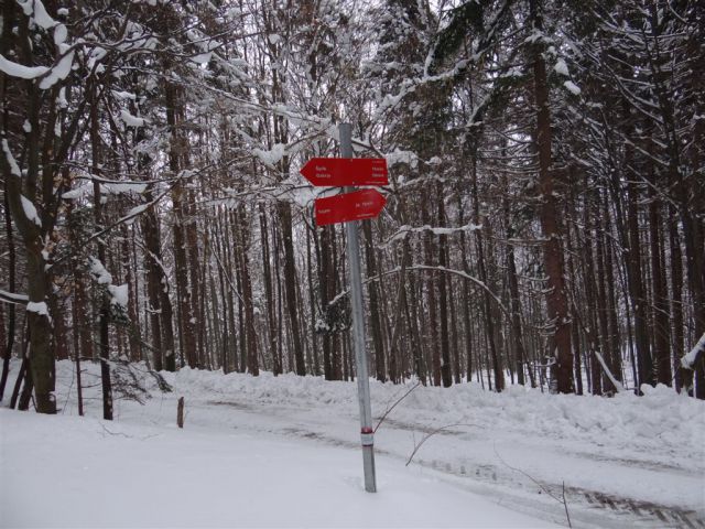 Blagovica-Špilk-Trojane-17.2.2013 - foto