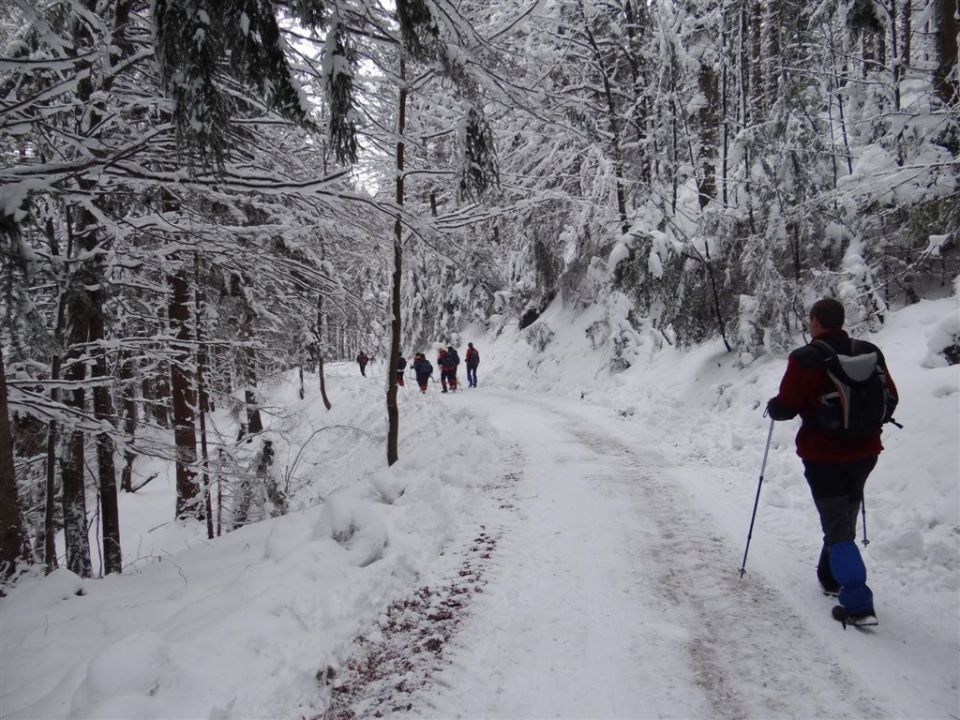 Blagovica-Špilk-Trojane-17.2.2013 - foto povečava