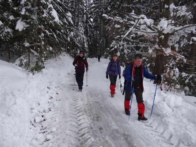 Blagovica-Špilk-Trojane-17.2.2013 - foto