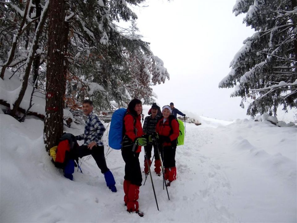 Sevnica-Cerje-Lisca-Breg-24.2.2013 - foto povečava