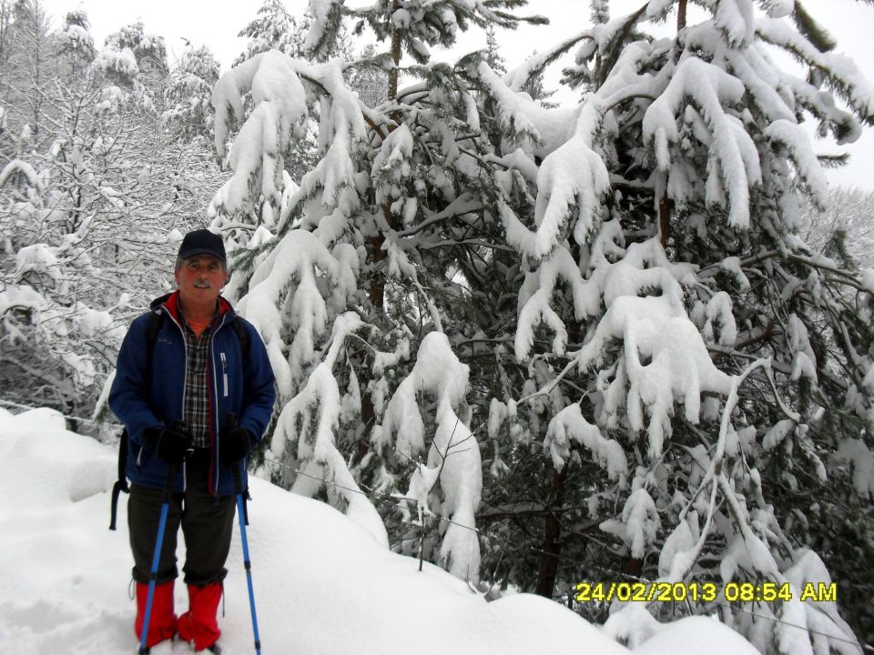 Sevnica-Cerje-Lisca-Breg-24.2.2013 - foto povečava